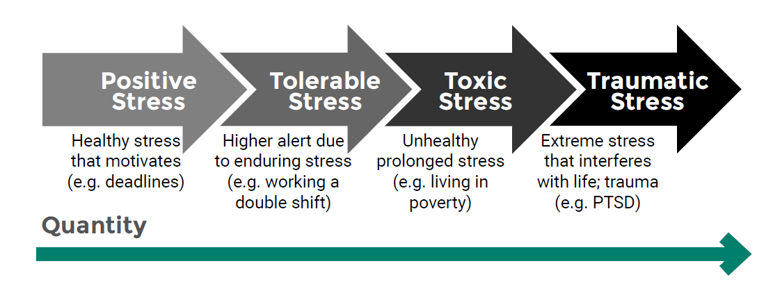 toxic stress graphic